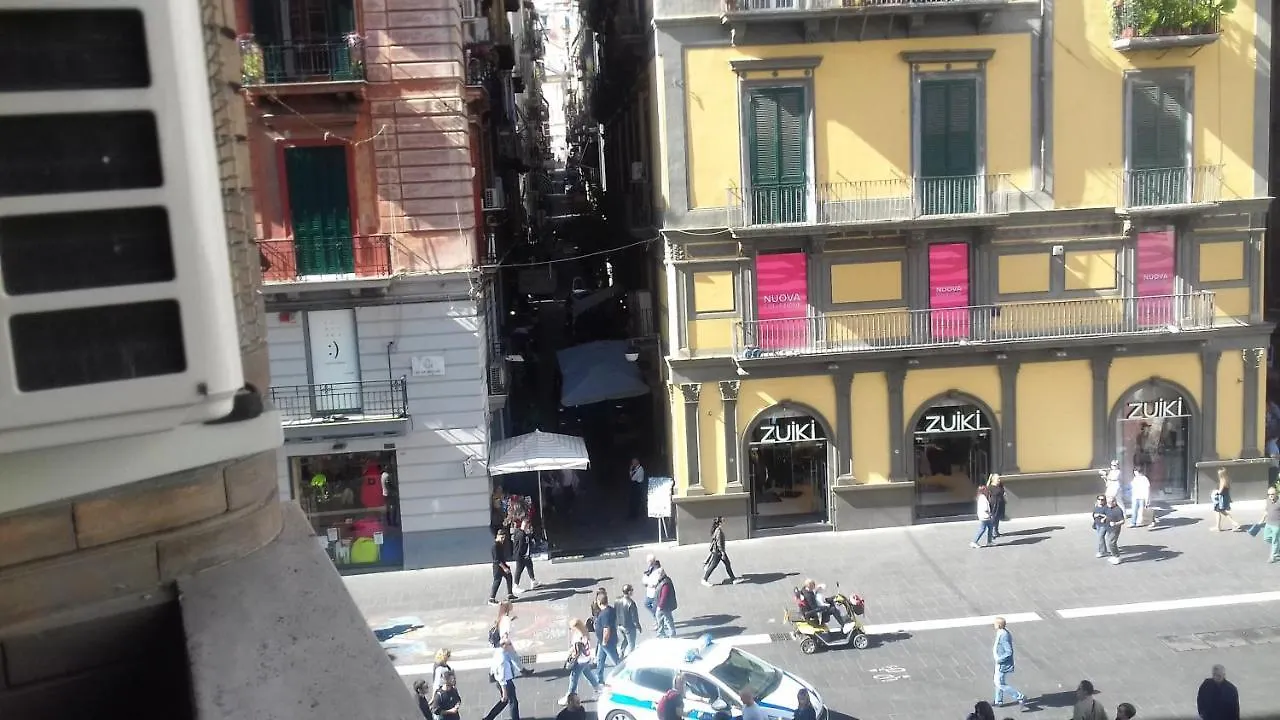 Toledo Street B&B Naples